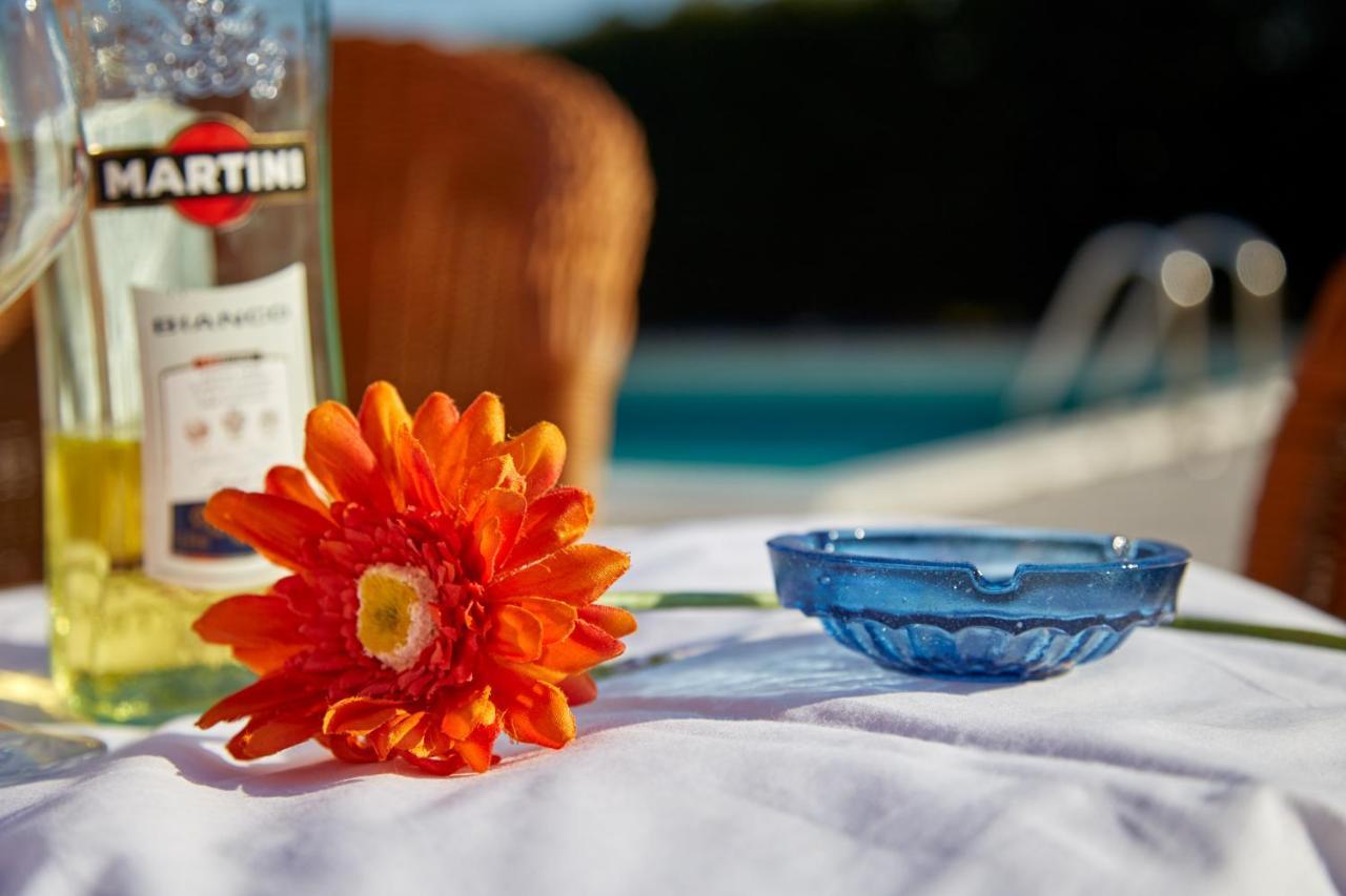 Agriturismo Da Rosy Codevigo 外观 照片