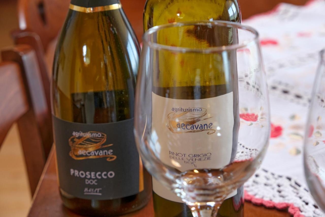 Agriturismo Da Rosy Codevigo 外观 照片